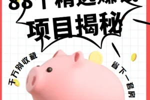 88个精选赚钱项目揭秘：从引流到变现的全套实战资料