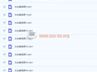 零基础到高级绘画人物头像细致绘画排线美术视频课程52讲