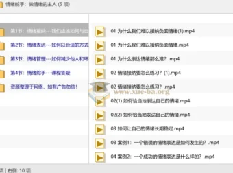 情绪舵手：做情绪的主人——系统化情绪管理实战课程
