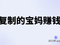 可复制的宝妈赚钱课：20节实战课，从副业到事业的完整路径