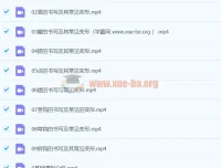 王慧志硬笔书法私房课100节合集：从笔画基础到结构进阶的系统练字指南