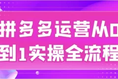 拼多多运营从0到1实操全流程，新手开店到爆款打造系统课程