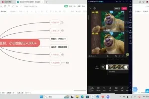 熊出没中英文反差视频制作教程，新手快速涨粉变现指南