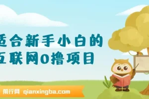 新手小白零基础互联网0撸项目，手机操作轻松日入三位数