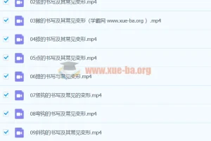 王慧志硬笔书法私房课100节合集：从笔画基础到结构进阶的系统练字指南