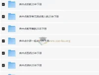 典中点小学语数英学习资料包·2025春 全版本同步教辅合集