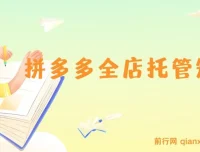 拼多多全店托管矩阵课，盈利动销玩法与高效计划设置，提升店铺效益