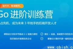 Go进阶训练营：对标大厂2-2级，源码课件全开源，实战驱动冲刺高薪
