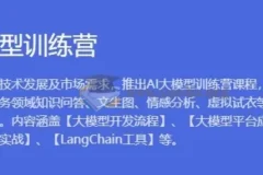 AI大模型训练营1期：8周掌握大模型垂直领域应用与开发