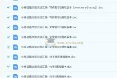 2025小升初语文总复习专项知识点46套Word文档合集