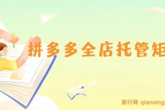 拼多多全店托管矩阵课，盈利动销玩法与高效计划设置，提升店铺效益