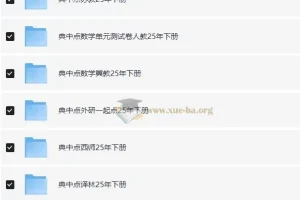 典中点小学语数英学习资料包·2025春 全版本同步教辅合集