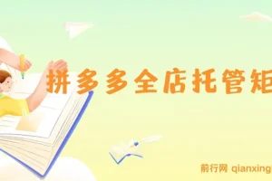 拼多多全店托管矩阵课，盈利动销玩法与高效计划设置，提升店铺效益