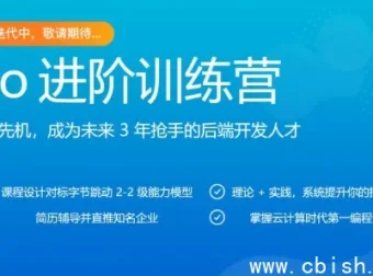 Go进阶训练营：对标大厂2-2级，源码课件全开源，实战驱动冲刺高薪