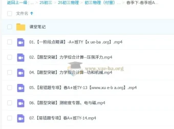 初三中考物理付雷2024-2025学年A+班全套课程（秋季上/下+寒假+春季）