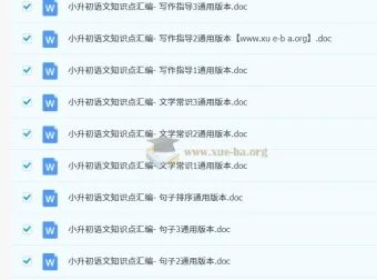2025小升初语文总复习专项知识点46套Word文档合集