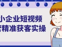中小企业短视频运营精准获客实操课