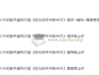 2025版小升初《阳光同学冲刺48天》小学数学 测评+辅导+真题卷全套