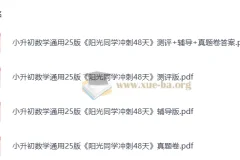 2025版小升初《阳光同学冲刺48天》小学数学 测评+辅导+真题卷全套