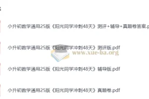 2025版小升初《阳光同学冲刺48天》小学数学 测评+辅导+真题卷全套