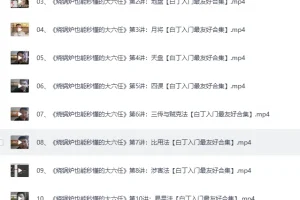 陈叫兽《三小时入门玄学五术》27集视频课程