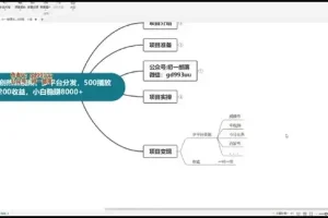 视频号AI爆款教程：小白日赚500+，零基础玩转AI原创视频