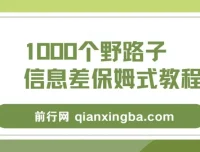 1000个野路子信息差项目保姆级教程，单日变现3000+实操玩法全拆解
