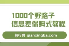 1000个野路子信息差项目保姆级教程，单日变现3000+实操玩法全拆解