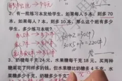 小学奥数L5进阶：30讲攻克方程/几何/应用题