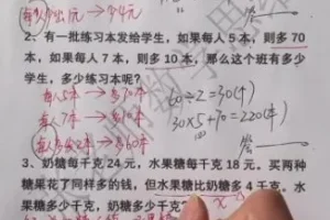 小学奥数L5进阶：30讲攻克方程/几何/应用题