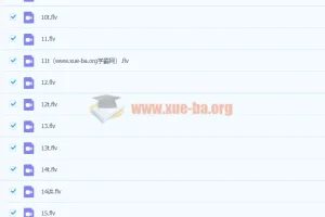 2019秋初二物理目标班直播课全收录（杜春雨主讲）