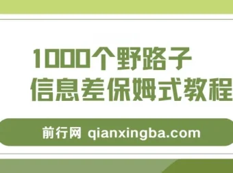 1000个野路子信息差项目保姆级教程，单日变现3000+实操玩法全拆解