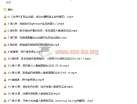 一晨叔叔人像修图调色实战训练营 系统提升后期修图全流程技能