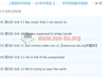 初中英语九年级下册同步精讲（万斯佳）——Unit 9-13重点课文与语法全突破