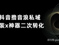 抖音撸音浪私域装X神器二次转化，不露脸直播单日变现超500实操教程