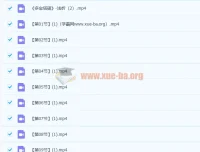毛笔书法教程 楷书多宝塔-20讲高清视频