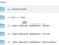 2027考研数学全程规划 聂岩新东方直通车网课