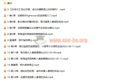 一晨叔叔人像修图调色实战训练营 系统提升后期修图全流程技能