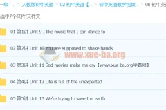 初中英语九年级下册同步精讲（万斯佳）——Unit 9-13重点课文与语法全突破