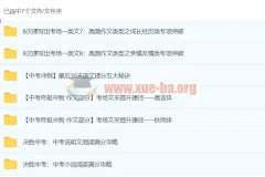 初中语文专题包：中考阅读与作文冲刺提分攻略合集