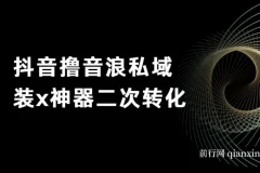 抖音撸音浪私域装X神器二次转化，不露脸直播单日变现超500实操教程