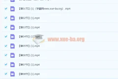 毛笔书法教程 楷书多宝塔-20讲高清视频