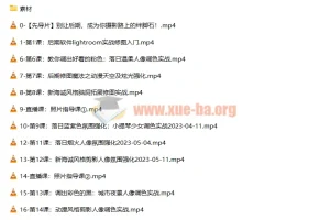 一晨叔叔人像修图调色实战训练营 系统提升后期修图全流程技能