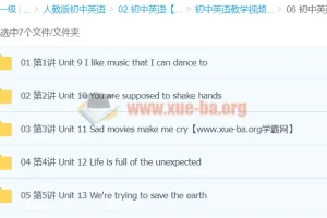 初中英语九年级下册同步精讲（万斯佳）——Unit 9-13重点课文与语法全突破