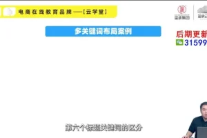 拼多多爆款打造实战课：选品推广运营全攻略