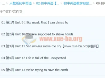 初中英语九年级下册同步精讲（万斯佳）——Unit 9-13重点课文与语法全突破