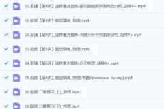 胡婷物理2024高三高考物理二轮A+春季班全阶段复习课程