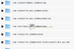 王朝霞小学语数英学习资料包·2025春 全年级下册同步练习合集