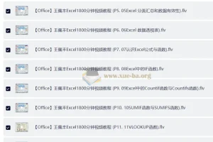 王佩丰Excel 1800分钟视频教程：从入门到进阶的系统化实战指南