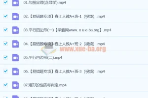 李爽数学2024初二数学A+寒假班（春上）全套课程资源